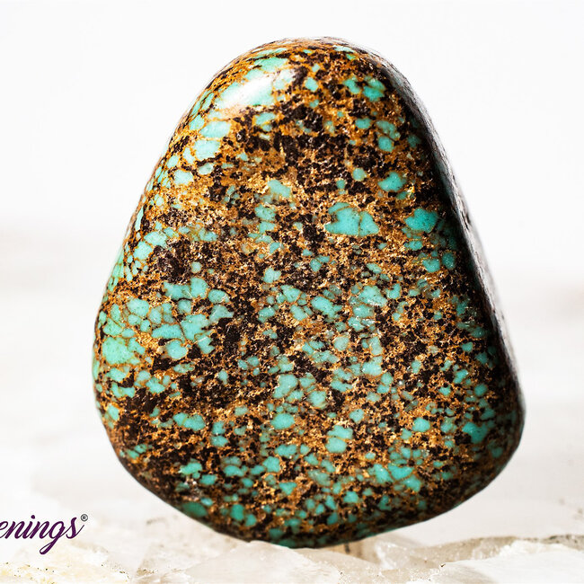 Natural Turquoise - Tumbled