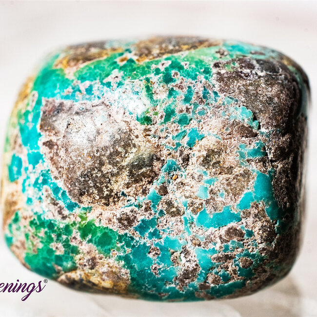Natural Turquoise - Tumbled