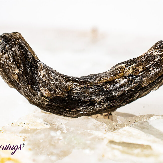 Darwin Glass (Darwinite) Tektite - Rough Raw Natural