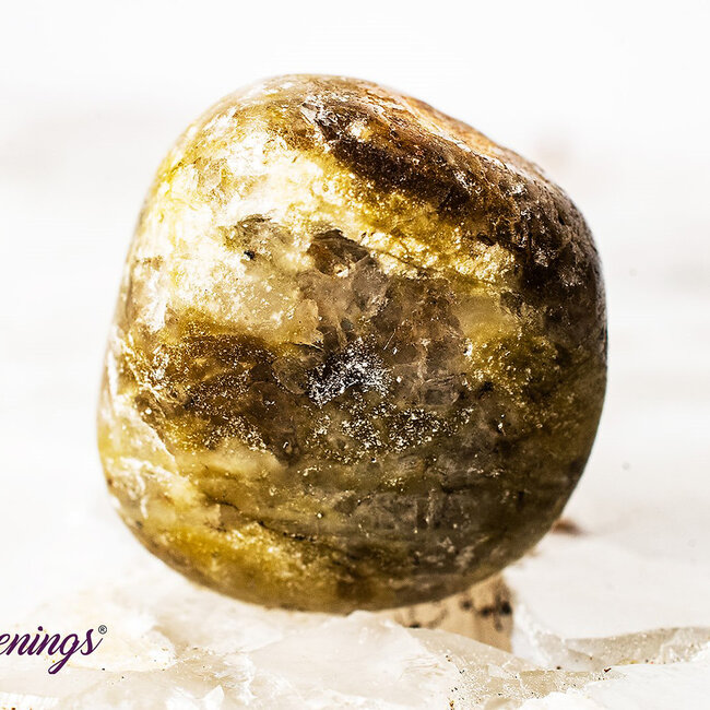 Vesuvianite (Idocrase) - Tumbled Smooth