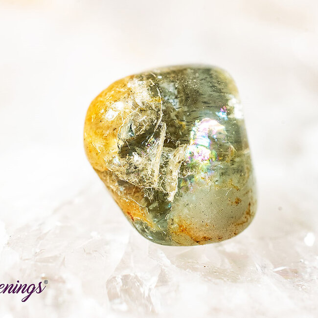 Watermelon Tourmaline - Tumbled Pink Green