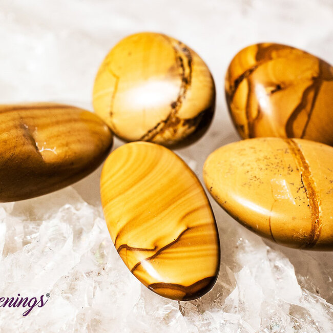 Walnut Jasper Tumbled Awakenings