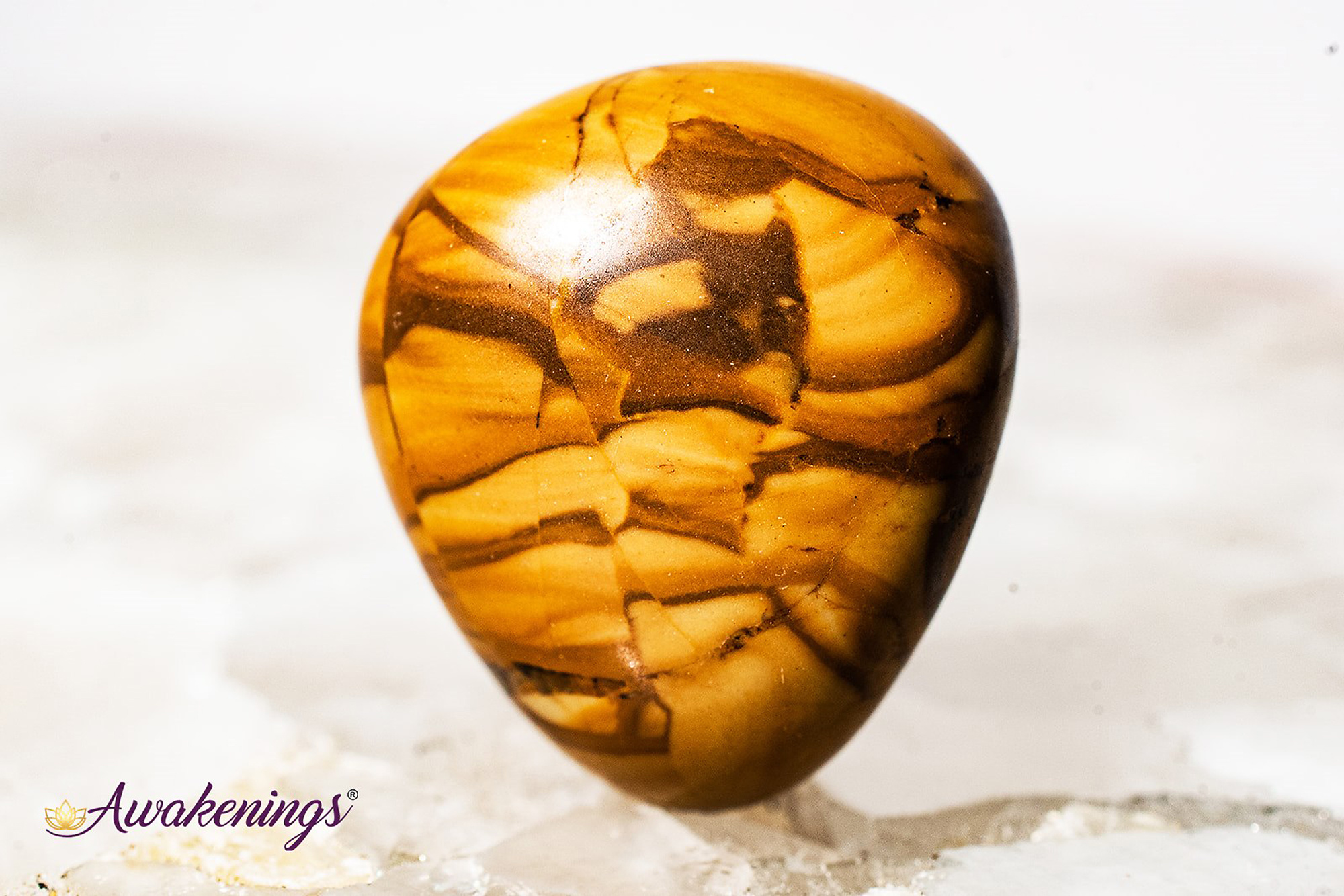 Walnut Jasper Tumbled Awakenings