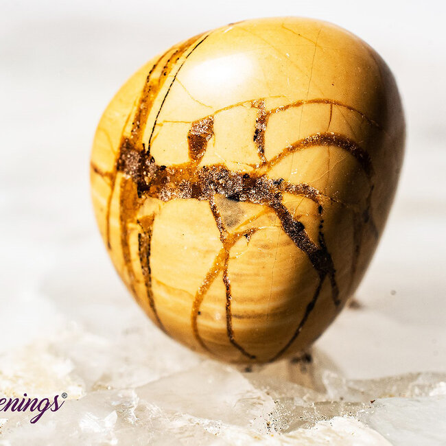 Walnut Jasper Tumbled Awakenings