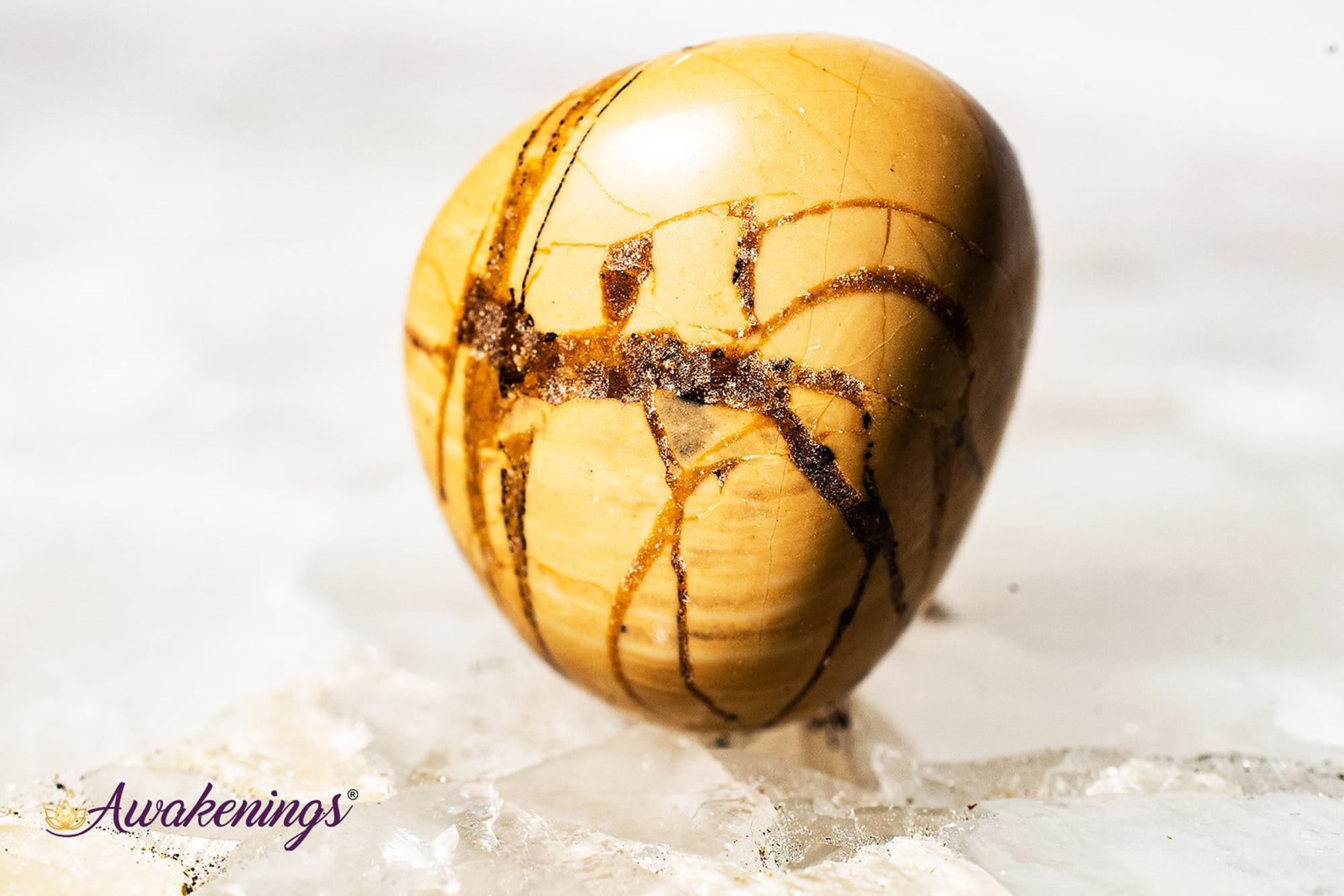 Walnut Jasper Tumbled Awakenings