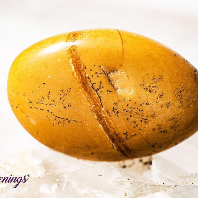 Walnut Jasper- Tumbled