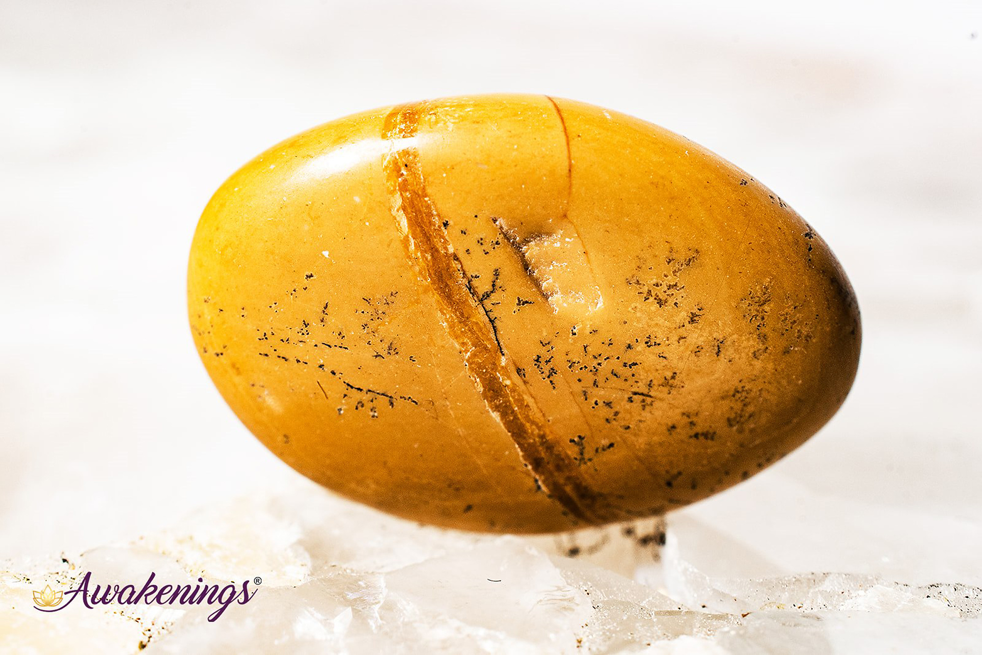 Walnut Jasper Tumbled Awakenings