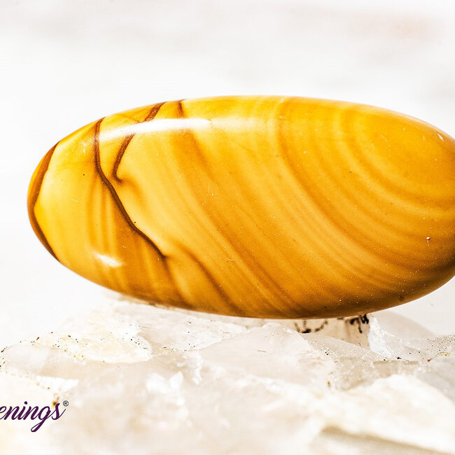 Walnut Jasper- Tumbled