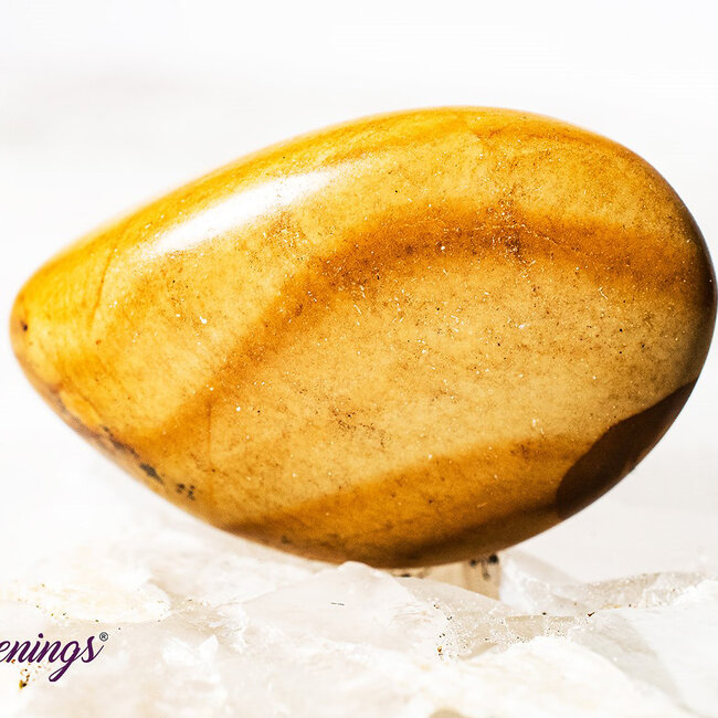 Walnut Jasper Tumbled Awakenings