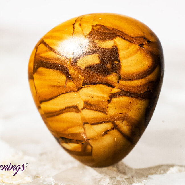 Walnut Jasper- Tumbled