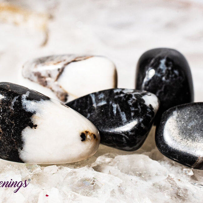 Zebra Agate  - Tumbled Smooth