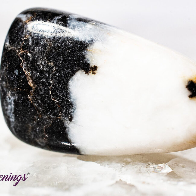 Zebra Agate  - Tumbled Smooth