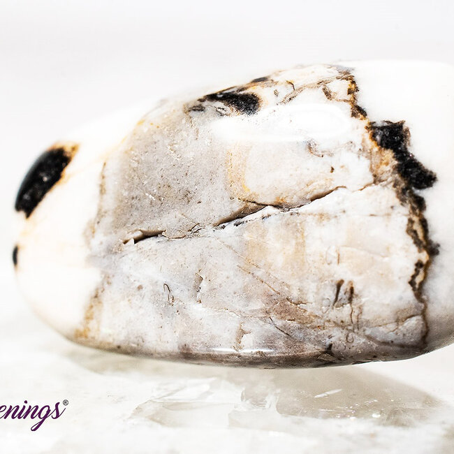 Zebra Agate  - Tumbled Smooth