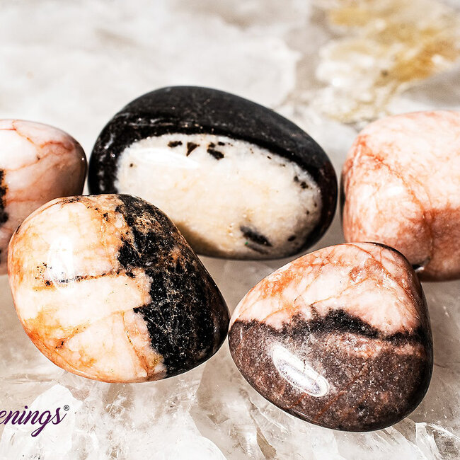 Pink Zebra Jasper- Tumbled