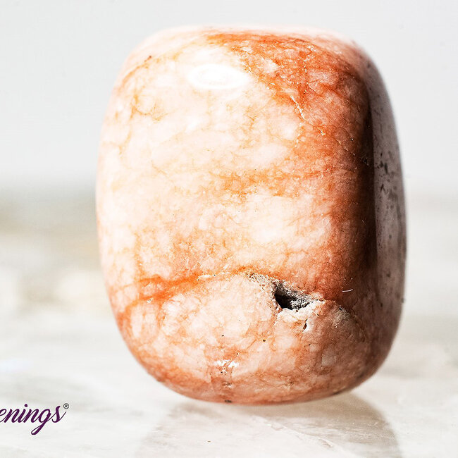Pink Zebra Jasper- Tumbled