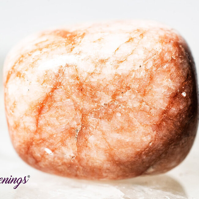 Pink Zebra Jasper- Tumbled