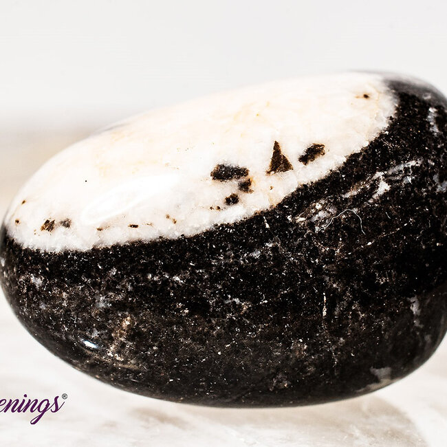 Pink Zebra Jasper- Tumbled