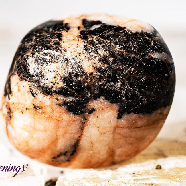 Pink Zebra Jasper- Tumbled