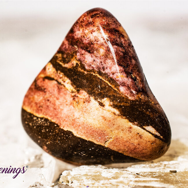 Zebra Jasper - Tumbled (Brown & White)