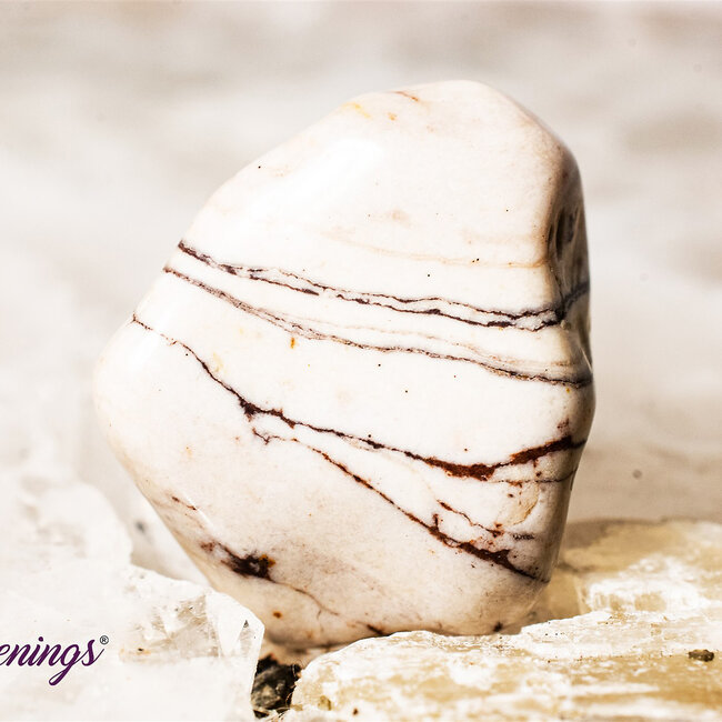 Zebra Jasper - Tumbled (Brown & White)