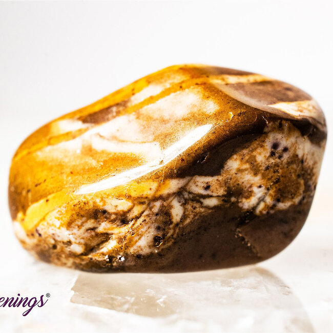 Zebra Jasper - Tumbled (Brown & White)