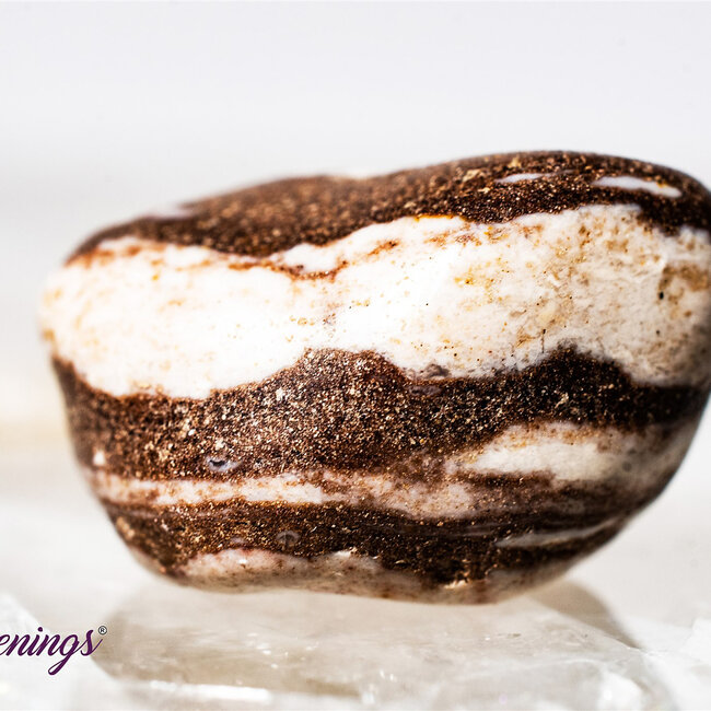 Zebra Jasper - Tumbled (Brown & White)