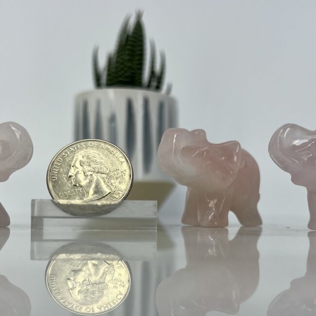 Rose Quartz Elephants - Small 1.5" Carving Animal