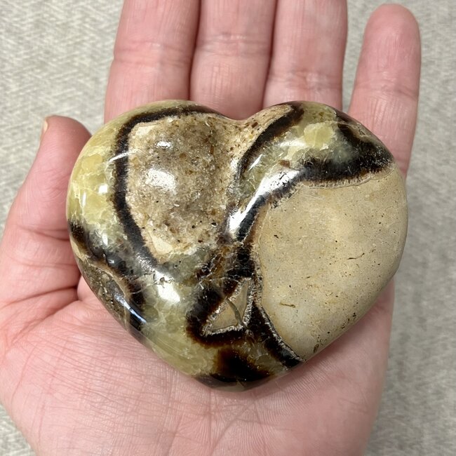Septarian Jasper (Dragon Stone) Hearts - Large (3")