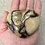 Septarian Jasper (Dragon Stone) Hearts - Large (3")