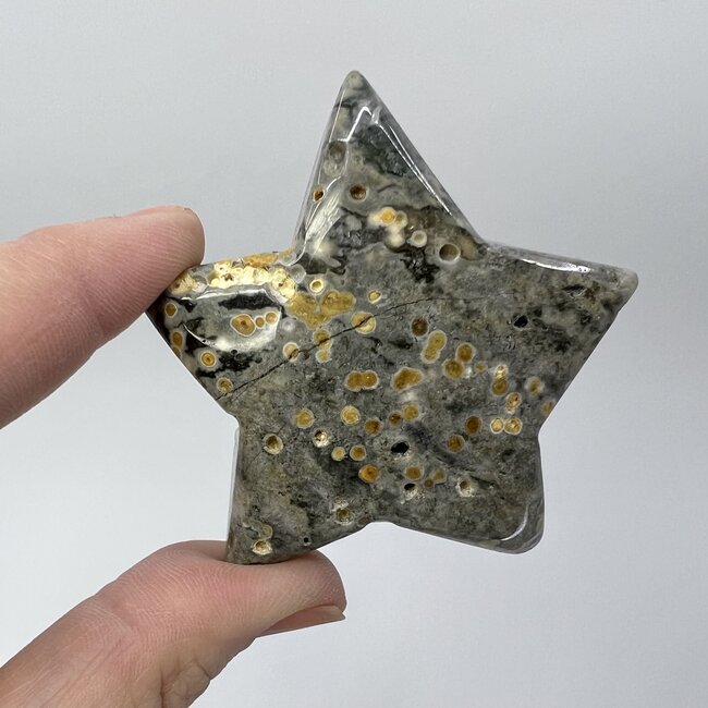 Ocean (Sea Sediment) Jasper Star - Large