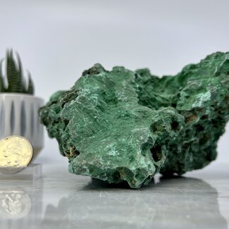 Malachite XXL - Natural Rough Raw Specimen