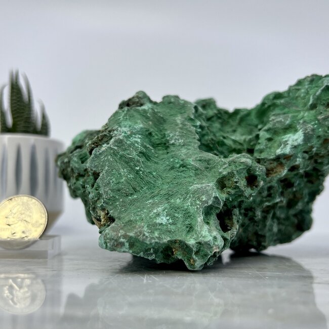 Malachite XXL - Natural Rough Raw Specimen