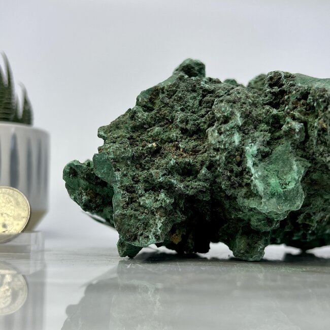 Malachite XXL - Natural Rough Raw Specimen