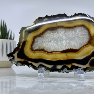 Red & Gray Agate Slice/Slab- Medium (4-5")