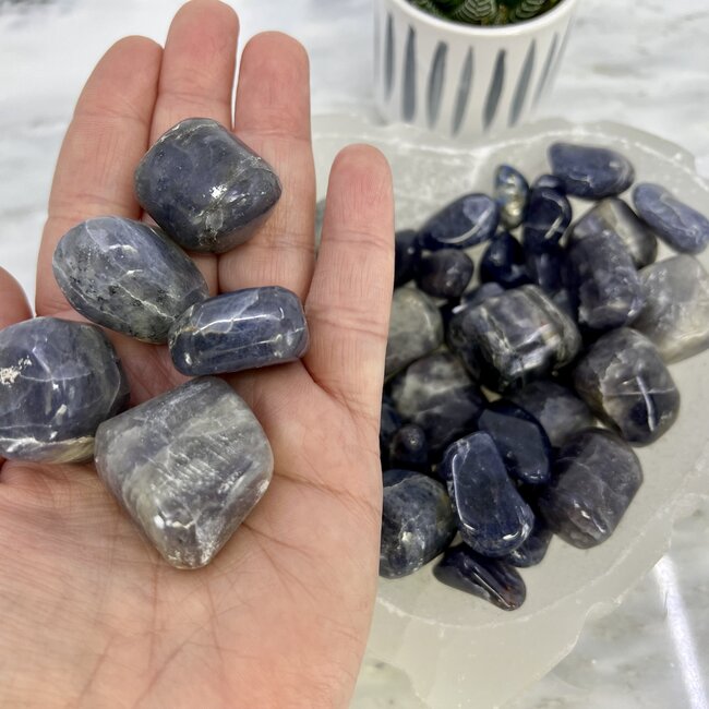 Iolite (Water Sapphire) - Large Tumbled