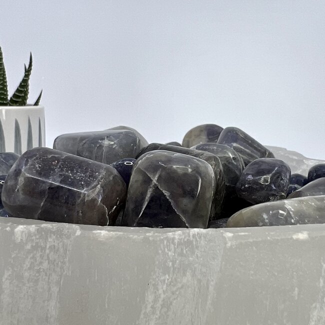 Iolite (Water Sapphire) - Large Tumbled