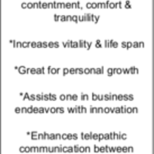 T Rex Tooth Specimen - Dinosaur Tyrannosaurus Rex - Montana Fossil Rough Raw Natural