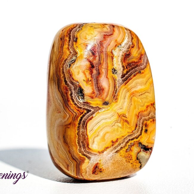 ADD & ADHD - Crystal Kits Set Bundle Pack - Crazy Lace Agate Lepidolite Charoite Fire Quartz Sodalite