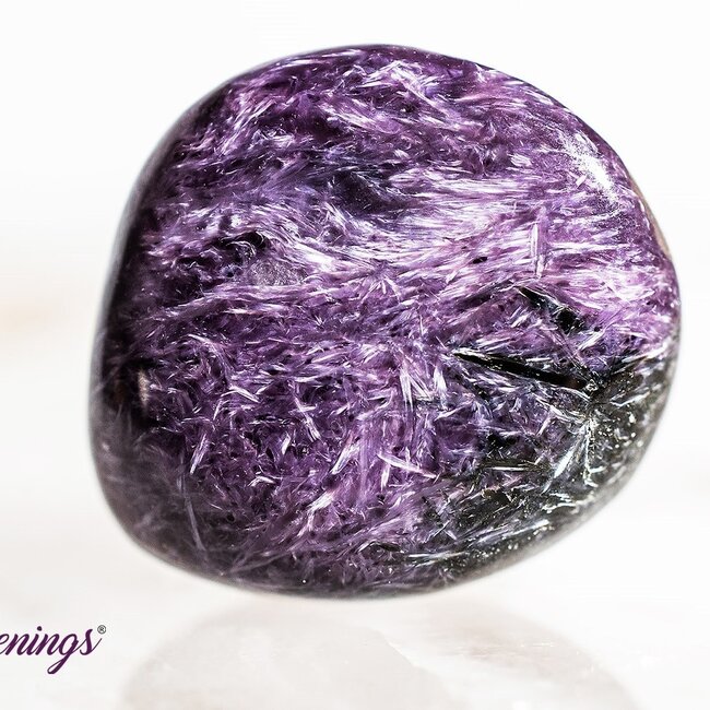 ADD & ADHD - Crystal Kits Set Bundle Pack - Crazy Lace Agate Lepidolite Charoite Fire Quartz Sodalite