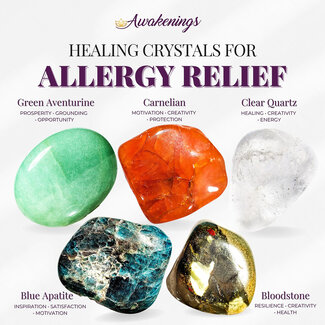 Allergy Relief - Crystal Kits Set Bundle Pack - Green Aventurine Carnelian Clear Quartz Blue Apatite Bloodstone
