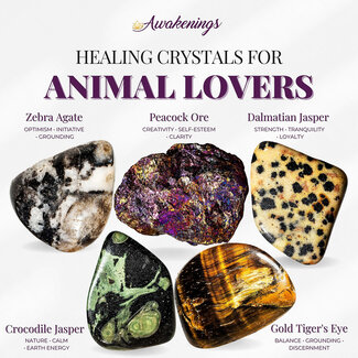 Animal Lovers - Crystal Kits