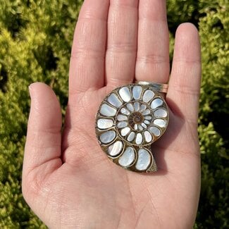 Ammonite with Mother of Pearl Inlay
