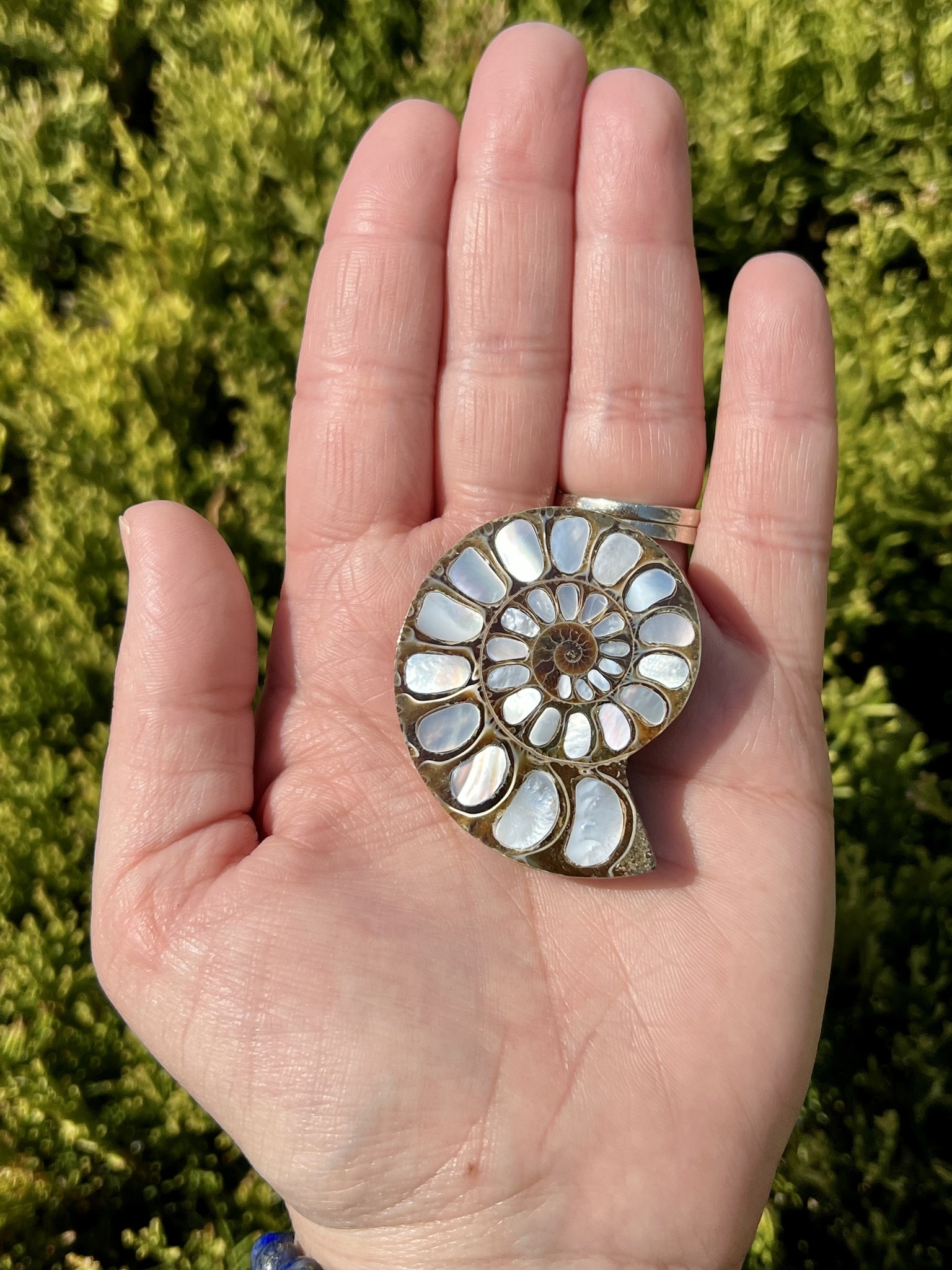 Ammonite with Mother of Pearl Inlay Awakenings
