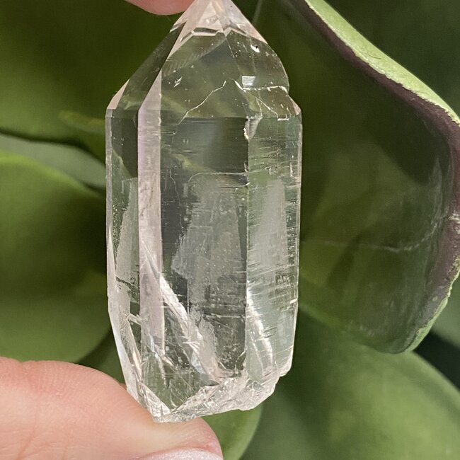Himalayan Clear Quartz Point-Rough Raw Natural