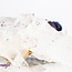 Clear (Crystal) Quartz Clusters - Medium Large (2-3") Rough Raw Natural Points