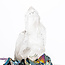 Clear (Crystal) Quartz Clusters - Medium Large (2-3") Rough Raw Natural Points