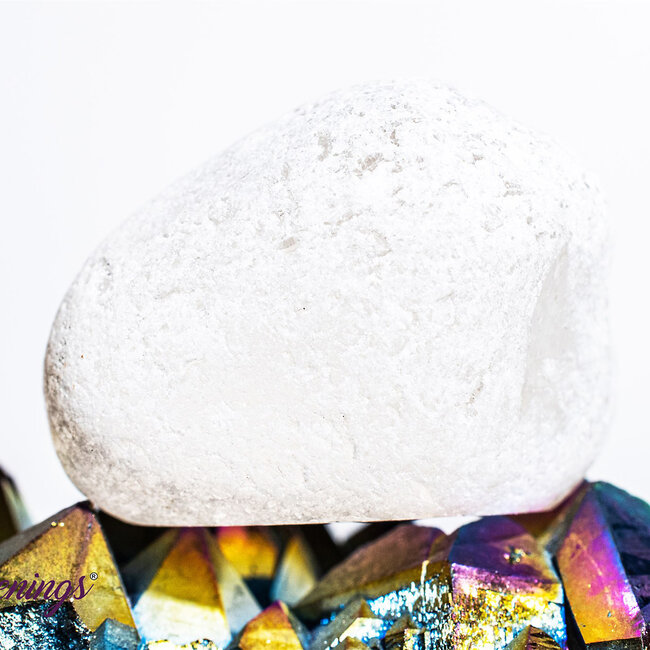 Clear (Crystal) Quartz - Emma Ema Eggs Palm (Seer Window Stones)