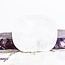 Clear (Crystal) Quartz Flat Stone - Mini Oval (1") Slice Slab