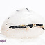 Black Tourmaline in Clear Quartz (Tourmalated Tourmalinated Rutilated Quartz) - Tumbled