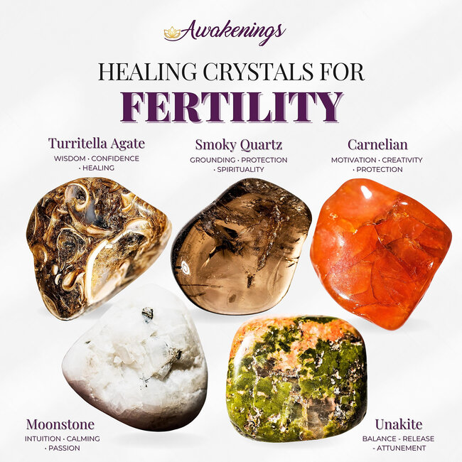 Fertility - Crystal Kits Set Bundle Pack Turritella Agate Smoky Quartz Carnelian Moonstone Unakite